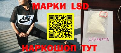шишки Нарткала