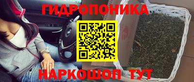 шишки Нарткала